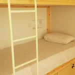אכסניה Nex